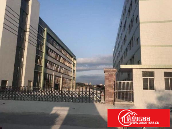 横岗六约新出一楼1500平厂房仓库，原房东招租可分租