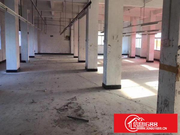石大路边电梯厂房出租价格优惠