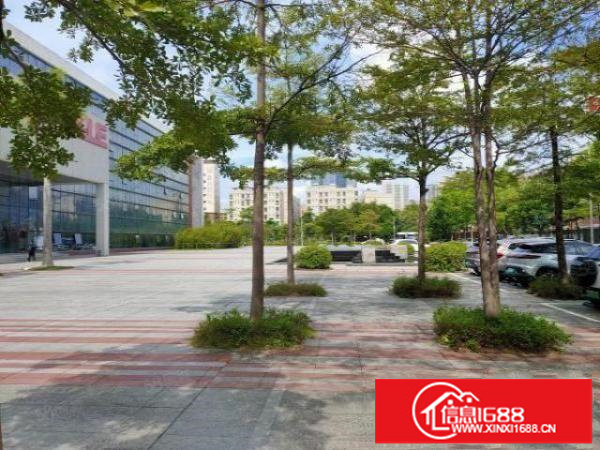 龙华大浪新百丽红本工业园5万平仓库厂房招租2800平可分租