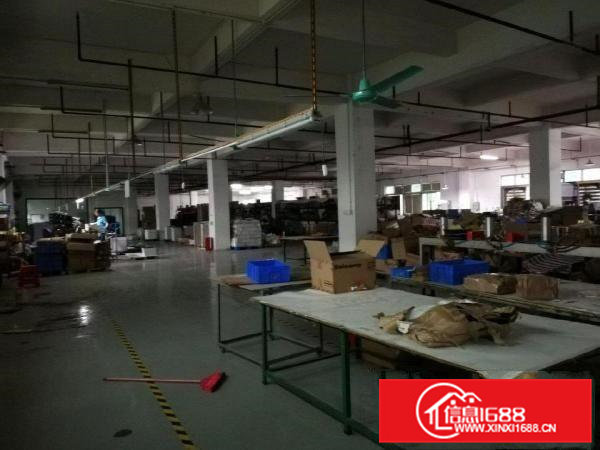 厚大路独门独院厂房2100平米