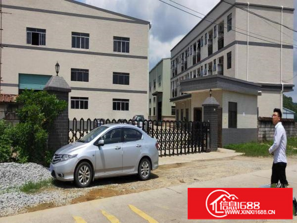 惠东白花9元厂房出租，全新两层钢构16800平米两部三吨货梯