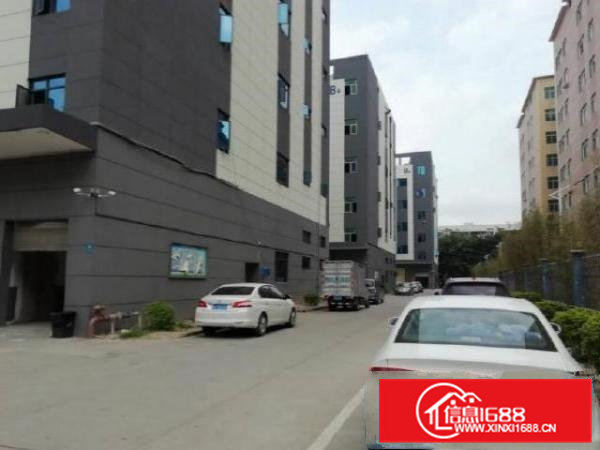 企石东山村楼上390平精装无尘车间，带