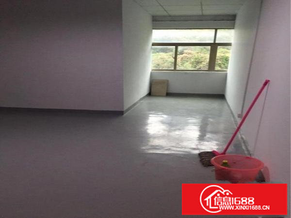 出租龙岗坂田雪象医院厂房办公室300平米