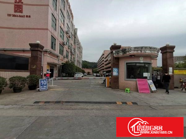 厂房出租横岗六约珠宝园精装修厂房1650平，100平起分租