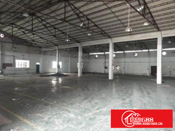 独门独院原房东厂房便宜出租