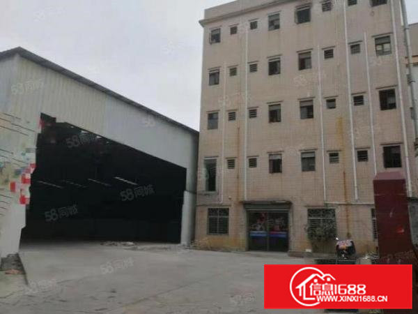 （降价啦）大岭山5000平原房东独院单一层钢构厂房仓库出租