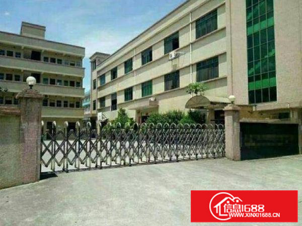 常平卢屋850平米厂房二楼出租有电梯