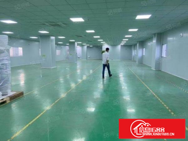 东坑镇工业区新出二楼精装修厂房