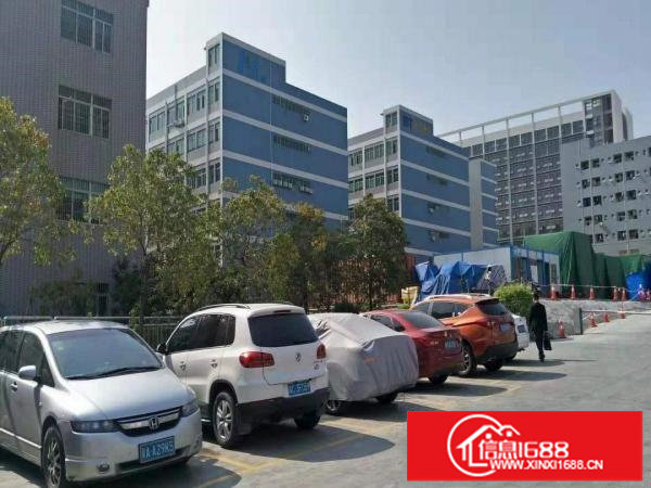 横岗高速出口楼上1100平精装修红本厂房出租