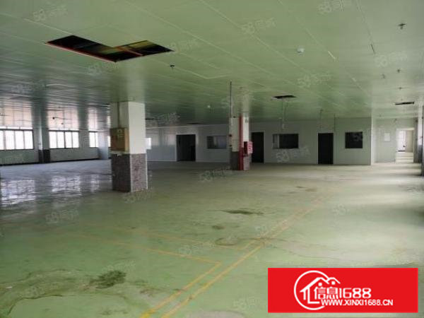 常平独院厂房带现成塑胶喷油硅胶注塑等多个环评面积5000