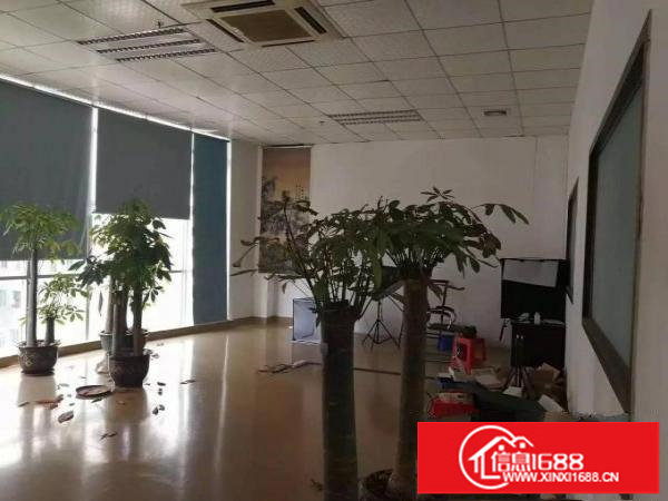 观澜梅观高新科技园带装修厂房招租面积1000平