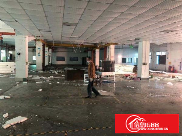 厦边空出一楼高7米厂房2000平出租