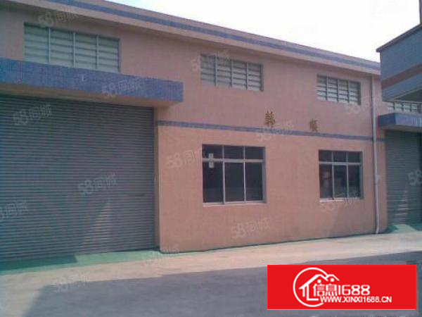 万江新出独门独院8米高800平方，独门独院1500平方招租