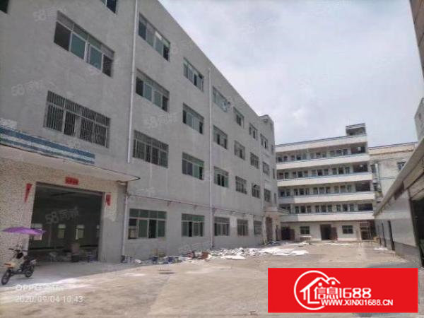 金凤凰新出8000平厂房出租可分租水电气齐全