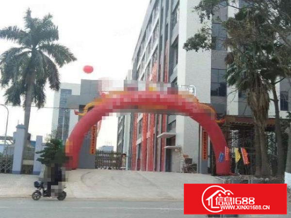 常平原房东出租标准全新一楼厂房2500平方