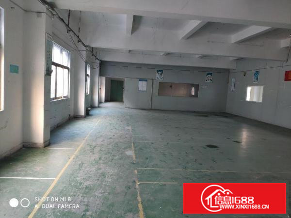 （出租）长安上沙新出500平厂房带装修水电齐全