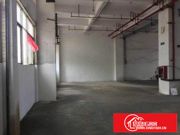 沙头南区一楼300平带办公室厂房招租水电到位