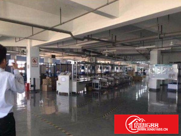 清溪上元花园式独院厂房3000平米水电到位