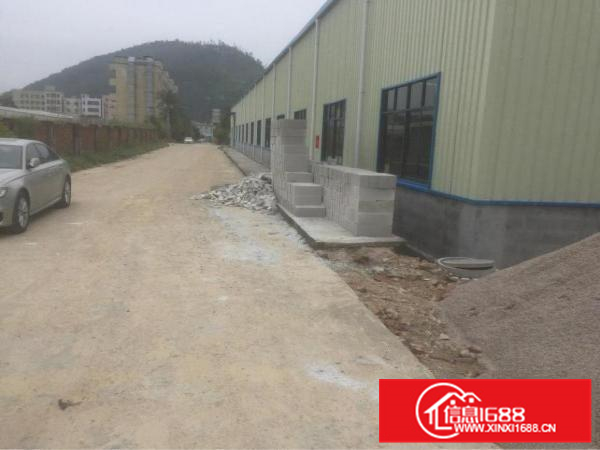 新圩塘口全新钢结构厂房招租