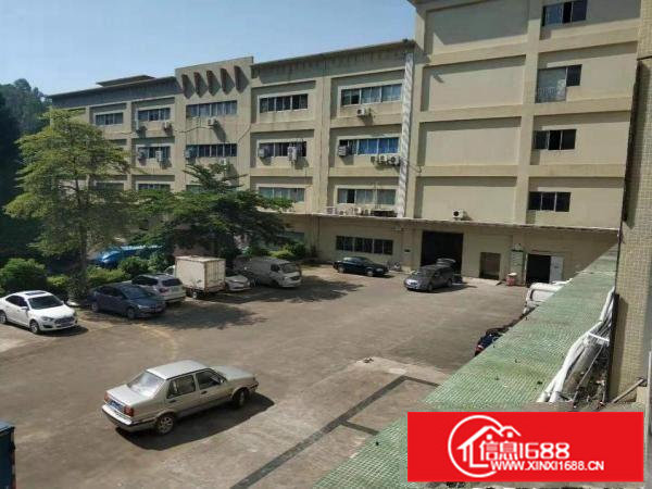 横岗临时仓医药仓食品仓7000平招租可分租