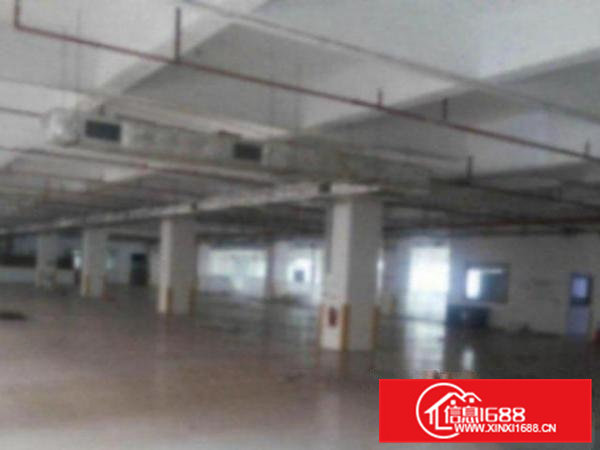 高埗标准一楼厂房500平方400或1300㎡出租