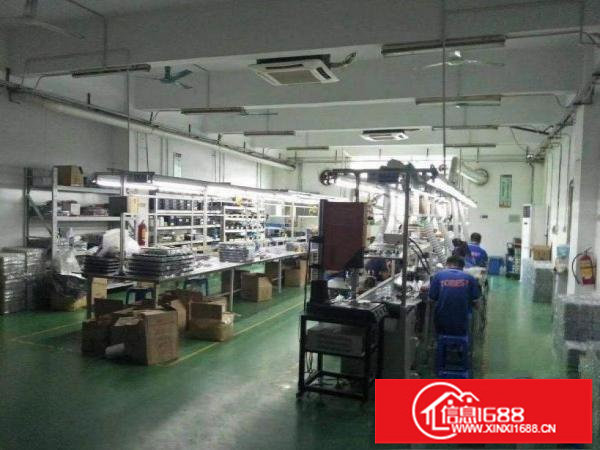 龙岗实际面积独栋厂房2000平可分租高度6米带行车免费用