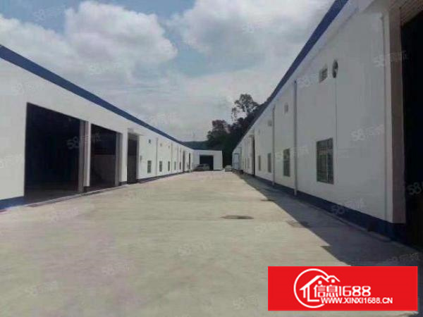 坂田南坑1225，4650平单一层钢构厂房