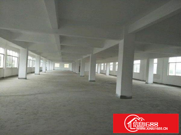 坪地北通道100米厂房3250平米