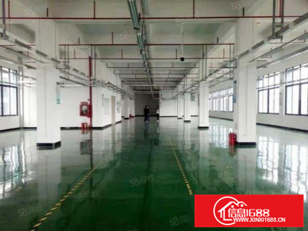 带地坪漆消防喷淋，勒流3500方标准厂房出租，层高8米