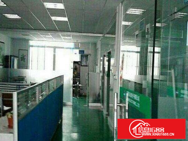 龙岗区南联现有标准一楼厂房600平方出租