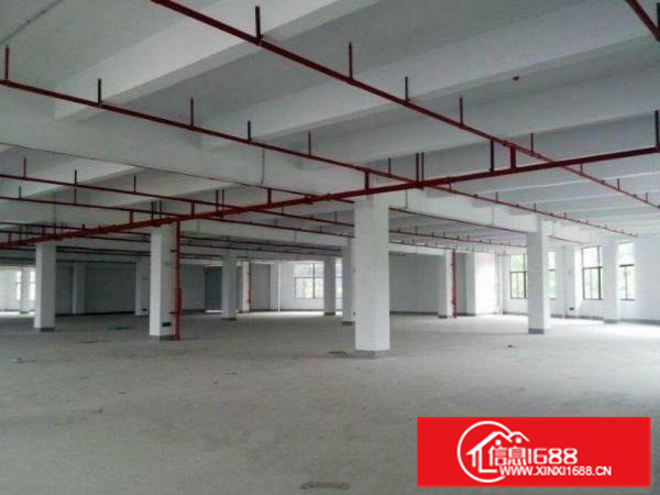 惠阳新墟原房东一楼3000平厂房出租特价可分租