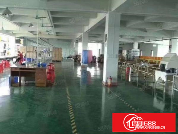 企石镇新出原房东独院标准厂房4800平方形象好