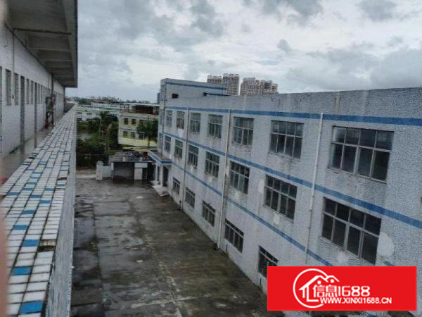 龙岗坪山田心同富裕2楼900平招租