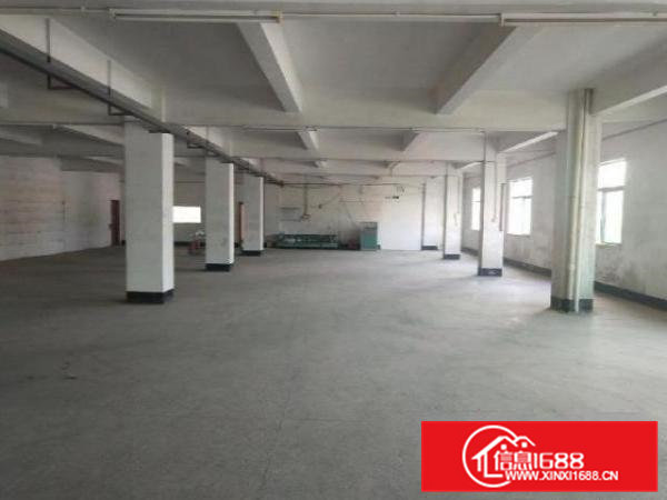 标准厂房二楼1500平方只租九元