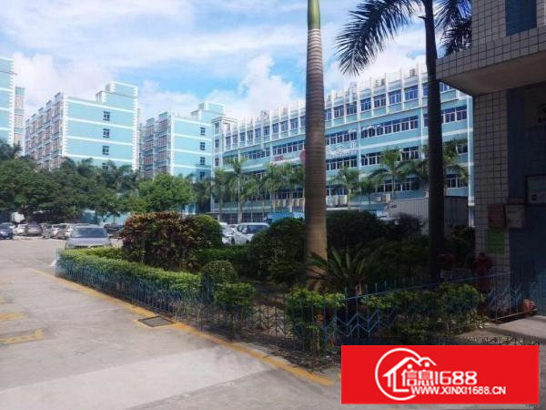 （优惠价）17.5元出租龙岗同乐原房东一楼1800平可分租