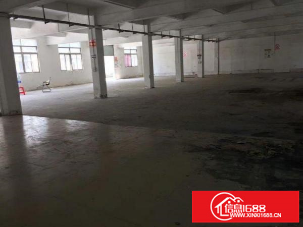 横岗六约房东厂房直租1200平米可分租