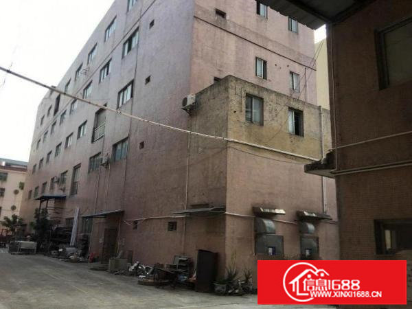 龙岗龙东社区原房东无公摊厂房带装俢1200平米