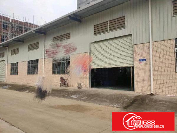 横沥镇新城工业区原房东独栋钢构厂房500平方，带5吨行车