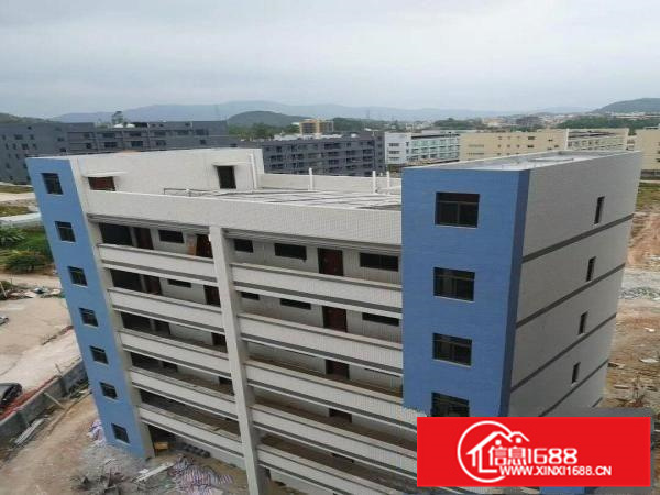 潼桥12000平米全新厂房出租可分租