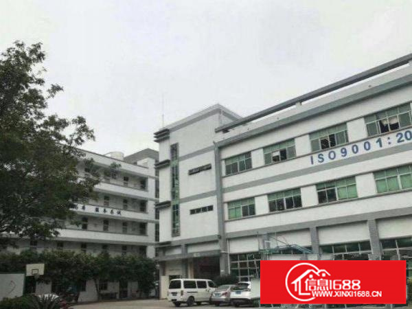 惠阳镇隆标准楼上一整层1200平带豪华装修出租可分租