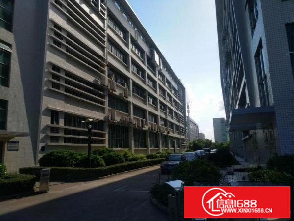 丹竹头楼上1680平米办公仓库出租（可分租）