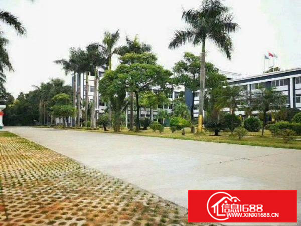 横岗228工业区新出原房东标准厂房一楼1100平方，净高6米