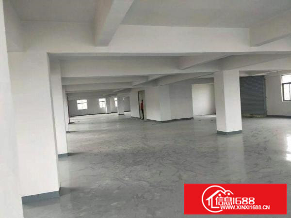 虎门南栅新出一全新独栋九层厂房7200平