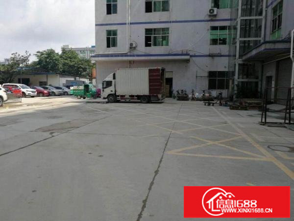 坂田上雪红本厂房一楼1300平，层高6米，可分租