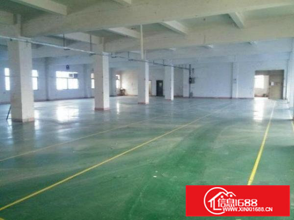 松柏塘招租独门独院标准厂房9000平方房东招租