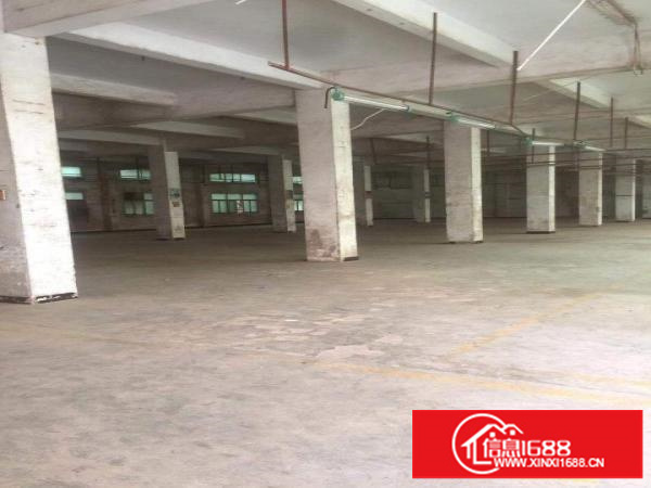 出租布吉吉华路1-4楼平方5100平方，可分租