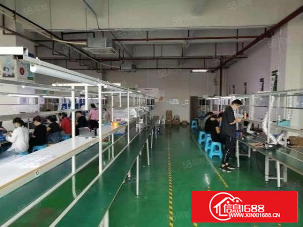 长安镇乌沙楼上新出1600平精装修厂房出租水电齐全