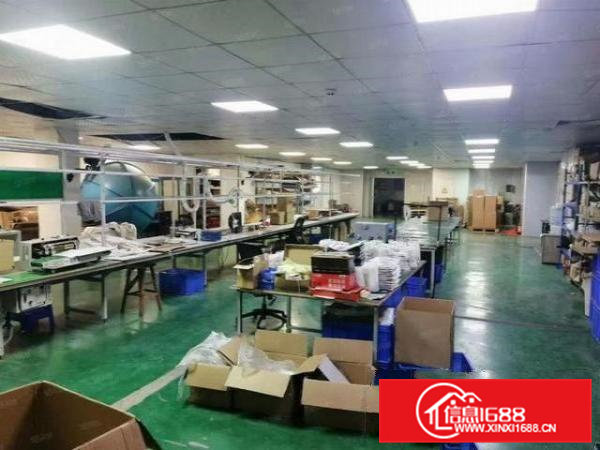 石排黄家壆楼上800平精装修LED厂房出租