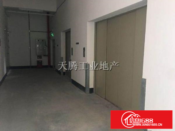 杏坛智富园800方标准工业园配套齐全