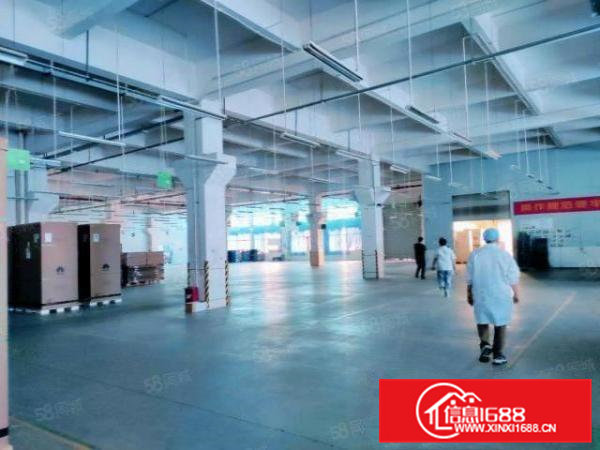 可分租，花园式独院厂房一楼高度6.5米，单层面积5800平方